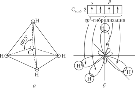 Тетраэдрическое расположение связей в молекуле метана (я) и ее модель (б).