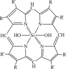 Структурно-химические формы полимерных молекул.