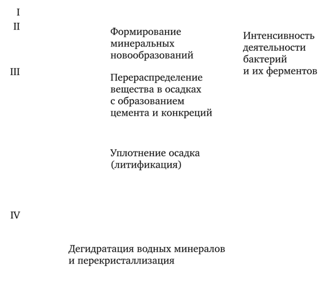 Вертикальная дифференциация в илах (по Н. М. Страхову, 1963).