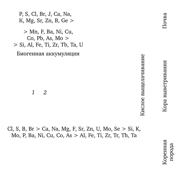 Миграция химических элементов в элювиальной почве и залегающей под ней коре выветривания (по А. И. Перельману, 1977).