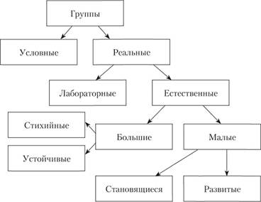Классификация групп (по Г. М. Андреевой).