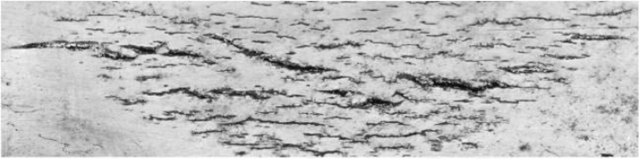 Развитие колонии стресс-коррозионных трещин на внешней катодно-защищаемой поверхности магистрального газопровода после эксплуатации в течение 27 лет (по К.Д. Басиеву с сотр. [210]).