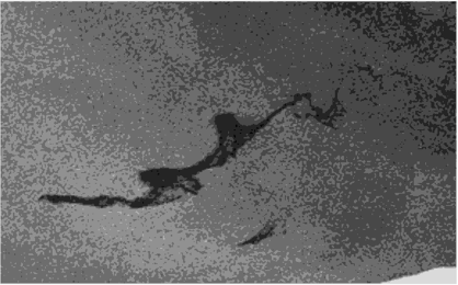Фрагмент РЛ-изображения морской поверхности, полученного с помощью РСА ASAR КА ENVISAT (дата съемки 28.05.2005, режим Wide.