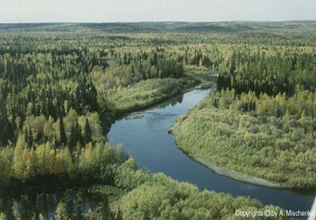 Транссупераквальные ландшафты геохимически подчиненные долин малых рек и ручьев.