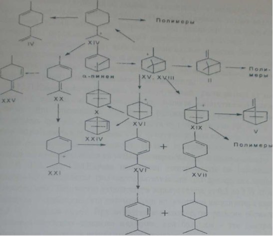 Схема кислотно - каталических превращений а-пинена IIр-пинен, IV-дипентен, V-камфен, VIIа-терпинен, VIII-терпинолен, Х-трициклен, XVI-y-терпинен.