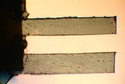 в оптическом микроскопе набора из двух кантилеверов изготовленных из полимерной плёнки с золотым напылением.