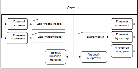 Организационная структура ООО «Агрофирма «Юг».