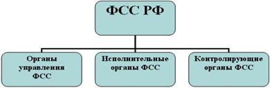 Структура фонда социального страхования Российской Федерации.