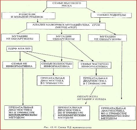 Cхема пренатальной диагностики МВ (Т.Э Иващенко, В.С. Баранов, 2002).