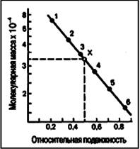 Зависимость между молекулярной массой и относительной подвижностью белка в полиакриламидном геле в присутствии додецилсульфата натрия (в полулогарифмической системе координат).