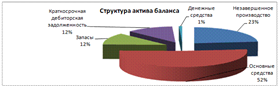 Структура активов ООО «Агрофирма «Яльчикский крахмал» за 2009 г.