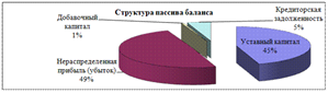Структура источников финансирования ООО «Агрофирма «Яльчикский крахмал» за 2009г.
