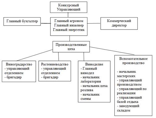 Схема структуры управления СПК им. В.И. Ленина.