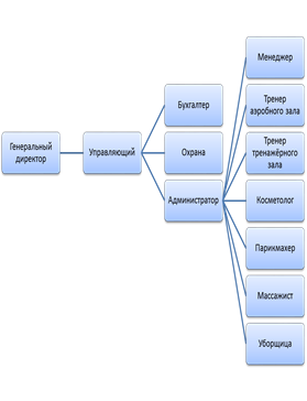 Схема организационной структуры ООО «Санита-сервис».