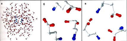Модели молекулы ГАМК. а) оптимизация молекул ГАМК в воде; б) вытянутая конформация; в) свернутая конформация.