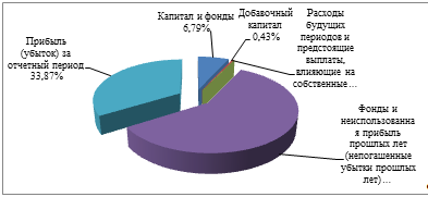 Структура собственных средств ОАО «СКБ-банка» за 2012 год.