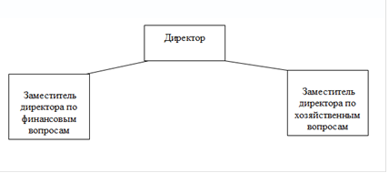 Организационная структура организации ООО «Саман».