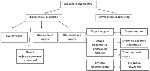Организационная структура компании ООО «Электростандарт».
