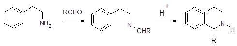 Реакция Пикте-Шпенглера. Молекулярное конструирование, изучение физико-химических свойств и биологической активности в ряду N-арилпроизводных изохинолона-3.