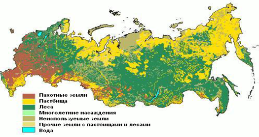 Общая характеристика почвы и земельных ресурсов Российской Федерации.