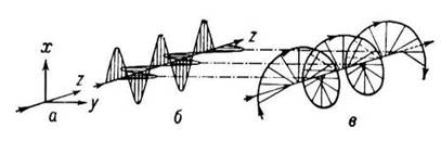 Колебания проекций вектора световой волны в системе координат х, у, z.
