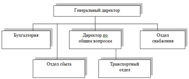 Организационная структура ООО ТД «ЮУТК».