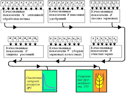 Комплексная технология производства семян зерновых колосовых культур.