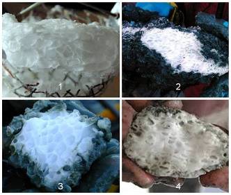 ) - пористый синтетический гидрат природного газа, полученный из льда на основе дистиллированной воды; 2) - пористый природный гидрат; 3) - образец природного гидрата.