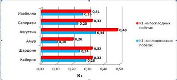 Коэффициенты плодоношения (К1) центральных почек зимующих глазков (август средне за 2011;2013 г.г.).
