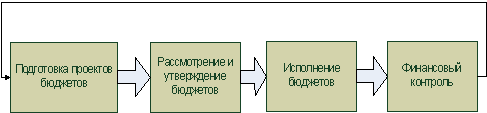 Осуществление бюджетного процесса в Российской Федерации.