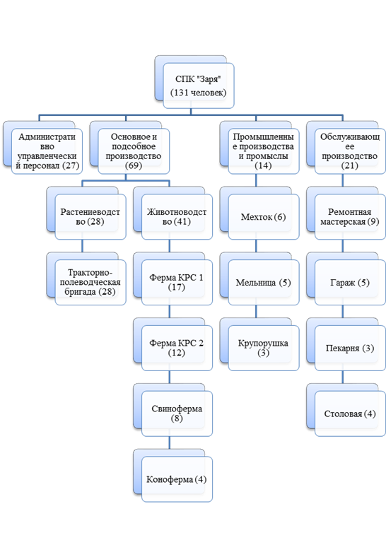 Организационная структура СПК .