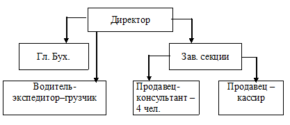 Организационная структура ООО «Галант».