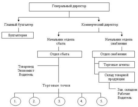 Организационная структура фирмы ООО .