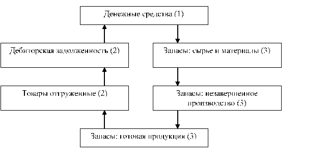 Организационная структура ООО «Марео».