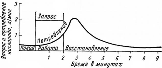 Потребление кислорода при статической работе (феномен Линграда).