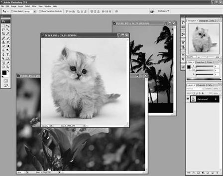 Программа Adobe Photoshop. Интерфейс программы. Масштабирование.
