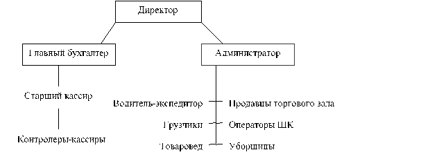 Организационная структура ООО «Строительная группа Котовых».
