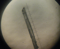 Микрофотография кристаллика гипотиофосфата натрия, выращенного в спиртовом растворе. (Цена деления.