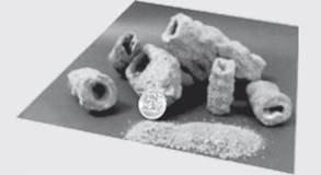 Фульгуриты, найденные автором статьи в районе Крылатское (Москва); для масштаба на том же фото показана пятирублевая монета. Изображение.