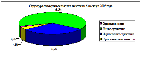 Структура совокупных выплат по итогам 6 месяцев 2002 г.