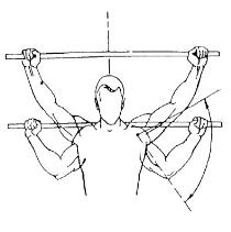 Проявление подвижности в плечевых суставах при подтягивании на перекладине в зависимости от ширины хвата.