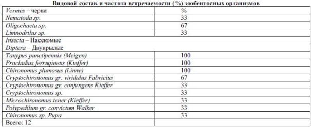 Структурные характеристики бентофауны водохранилища К-28 Алматинской области летом 2011 г.