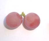 Результаты исследований. Хара – новейший технический высококачественный ароматный сорт винограда с розовой ягодой.