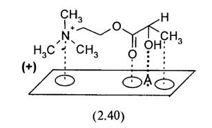 Схема связывания лактоилхолина с ацетилхолинэстеразой.