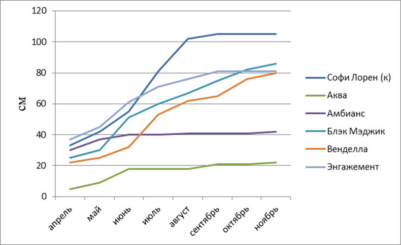 Динамика роста побегов у сортов чайно - гибридных роз (2010 г.).