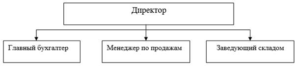 Структура управления ООО .