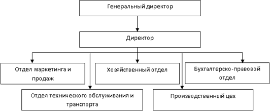Организационная структура управления предприятием ООО «Четра».