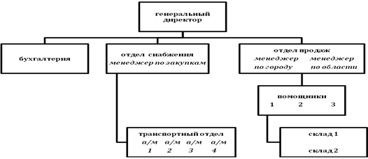Организационная структура ООО «ДЛТ-авто».