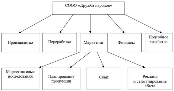 Проектноорганизационная структура СООО «Дружба народов».