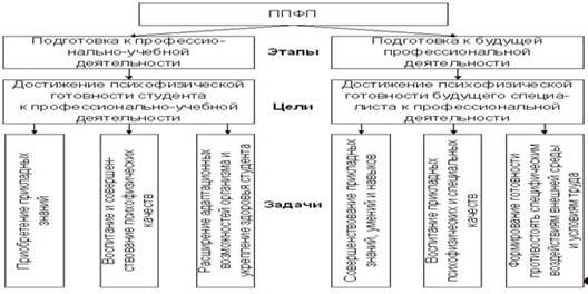 Структура ППФП студентов.